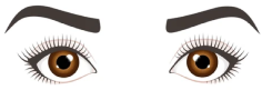 Round Eye